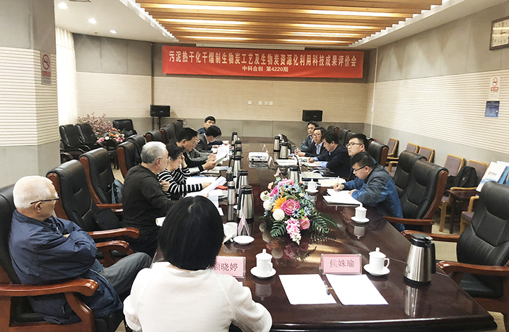 污泥热干化干馏制生物炭工艺 anli.jpg